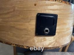 12 String Acoustic Electric Built In Tuner Separate Trouble Mid And Bass Setting