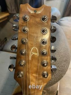 12 String Acoustic Electric Built In Tuner Separate Trouble Mid And Bass Setting