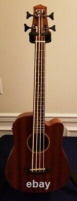 Bass Gold Tone Micro GT-Micro USED Free Freight