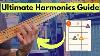 Bass Guitar Harmonics All You Need To Know