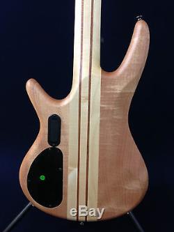 Caraya SPB-3250N 5-String Neck-thru Electric Bass Guitar withFree gig bag, D-tuner