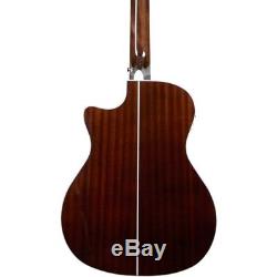 D'Angelico Premier Mott Single Cut Acoustic Bass withOnboard Preamp, Tuner Gry Blk
