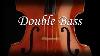 Double Bass Tuner Easy To Use Plucking Real Double Bass Sound
