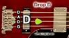 Drop D Bass Guitar Tuner D A D G Tuning For 4 Strings