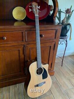 Fender Acoustic-Electric Bass