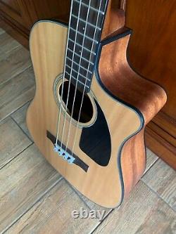 Fender Acoustic-Electric Bass