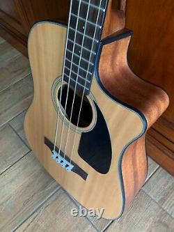 Fender Acoustic-Electric Bass