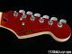 Fender Squier Contemporary Stratocaster Strat NECK + TUNERS Metallic Red, Maple