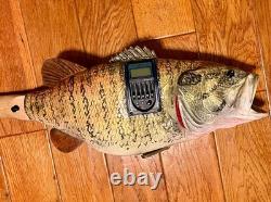 Fish Guitar, Small Mouth Bass, acoustic with mic, piezo, and pre-amp