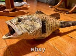Fish Guitar, Small Mouth Bass, acoustic with mic, piezo, and pre-amp