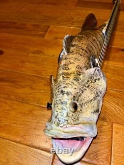 Fish Guitar, Small Mouth Bass, acoustic with mic, piezo, and pre-amp