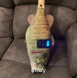 Fish Guitar, Small Mouth Bass, acoustic with mic, piezo, and pre-amp
