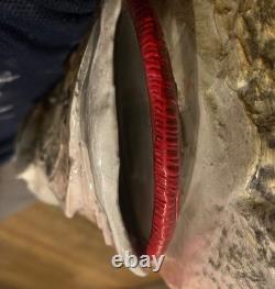 Fish Guitar, Small Mouth Bass, acoustic with mic, piezo, and pre-amp