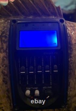 Fish Guitar, Small Mouth Bass, acoustic with mic, piezo, and pre-amp