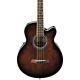 Ibanez AEB10E Acoustic-Electric Bass Guitar with Tuner 190839498168 Open Box