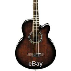 Ibanez AEB10E Acoustic-Electric Bass with Tuner Dark Violin SB 190839790453 OB