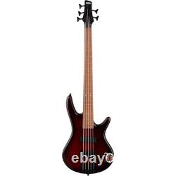 Ibanez GSR205SM 5-String Bass Guitar, Charcoal Brown Burst with Bag, Tuner, Cloth