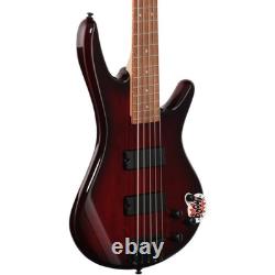 Ibanez GSR205SM 5-String Bass Guitar, Charcoal Brown Burst with Bag, Tuner, Cloth