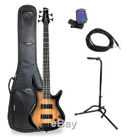 Ibanez GSR205SMNGT 5-String Bass Deluxe Bag, Stand, Tuner, Cable, Gray Burst