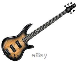 Ibanez GSR205SMNGT 5-String Bass Deluxe Bag, Stand, Tuner, Cable, Gray Burst