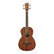 Ibanez PNB14E 4 String Acoustic Electric Bass Guitar Open Pore Natural