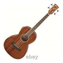 Ibanez PNB14E 4 String Acoustic Electric Bass Guitar Open Pore Natural