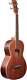 Ibanez PNB14E Parlor Acoustic-Electric Bass Guitar Open Pore Natural