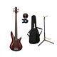 Ibanez SR305ERBM Electric Bass Guitar with Bag, Stand and Tuner