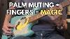 Master The Art Of Bass Palm Muting Groove Like A Pro