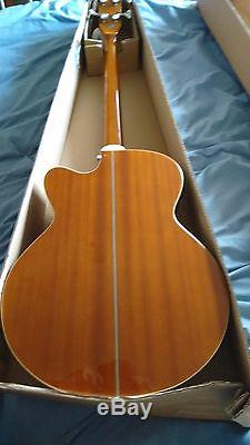 NEW Fretless Electro/Acoustic Bass Guitar, Jumbo Large Scale With Built-in Tuner