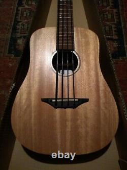 New Nylon String Electro/Acoustic Bass Ukulele With Built in Tuner