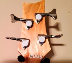 PROS or BEGINNERS? +AMP! I Style Electric Bass Guitar +P & Jazz Style Pups