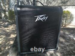Peavey MAX 100 Bass Amp Combo (100 watt & built-in chromatic tuner)