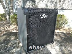 Peavey MAX 300 300-Watt Bass Amp Combo (built-in chromatic tuner)