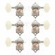 Waverly Solid Peghead Guitar Tuners with Ivoroid Butterbean Knobs, Nickel, 3L/3R